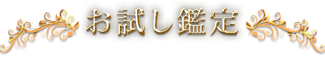 お試し鑑定